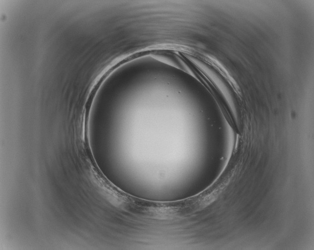 X0000085791276200703161114