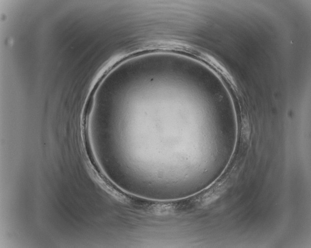 X0000085791283200703161114