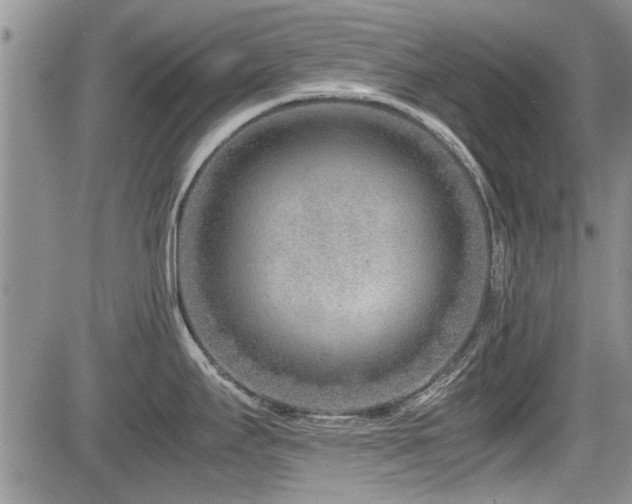 X0000085791295200703161114