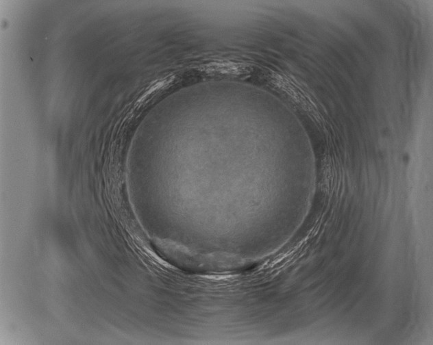 X0000085791297200703161113