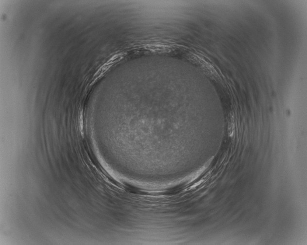 X0000085791298200703161113