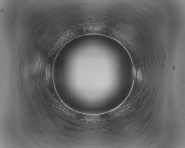 X0000085791299200703161113