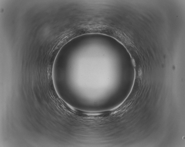 X0000085791300200703161113