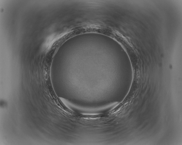 X0000085791303200703161113