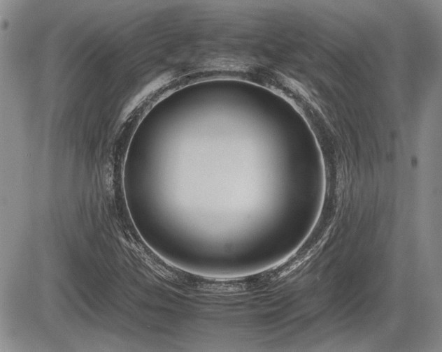 X0000085791307200703161113