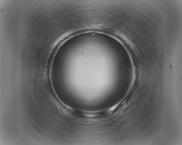 X0000085791308200703161113