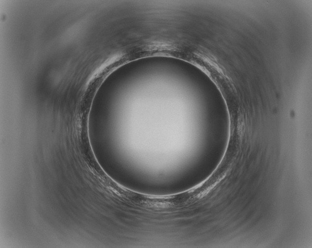 X0000085791309200703161113