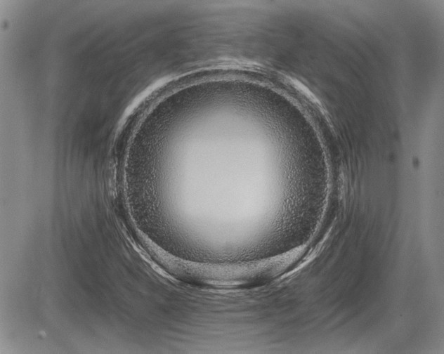 X0000085791310200703161113