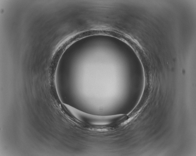 X0000085791311200703161113