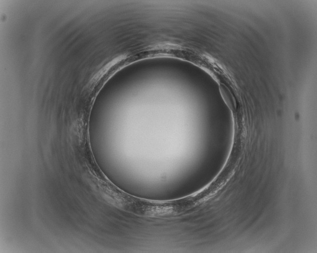 X0000085791313200703161113