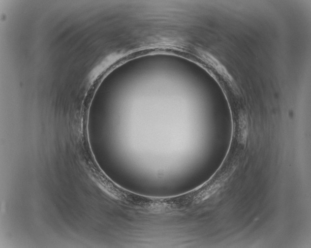 X0000085791316200703161113