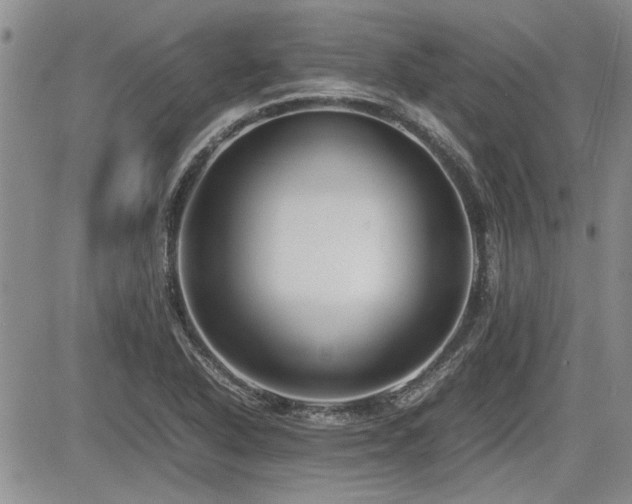 X0000085791318200703161113
