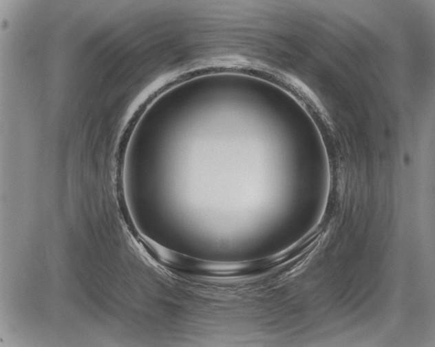 X0000085791326200703161113