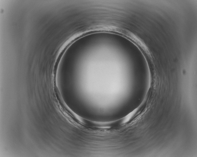 X0000085791332200703161113