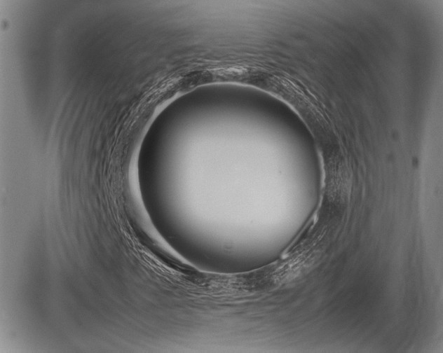 X0000085791345200703161113