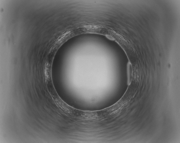 X0000085791346200703161113