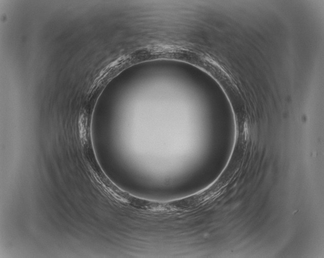 X0000085791348200703161113