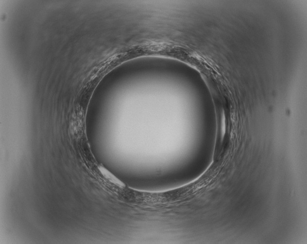 X0000085791349200703161113