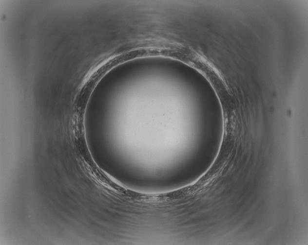 X0000085791352200703161113