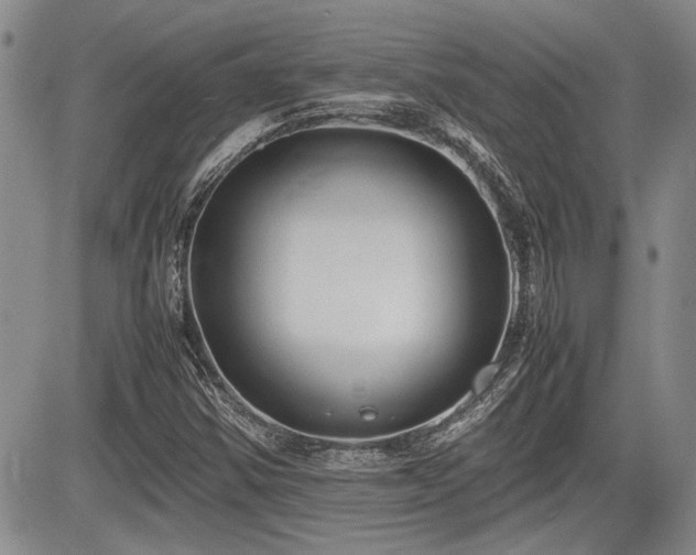 X0000085791354200703161113