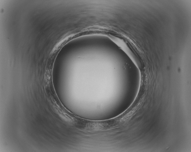 X0000085791355200703161113