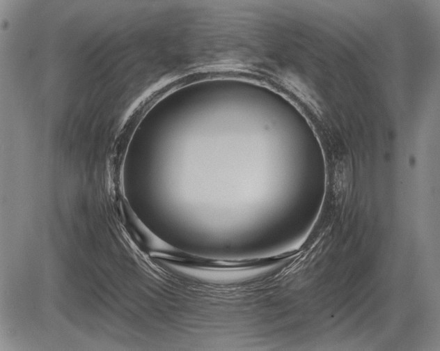 X0000085791356200703161113