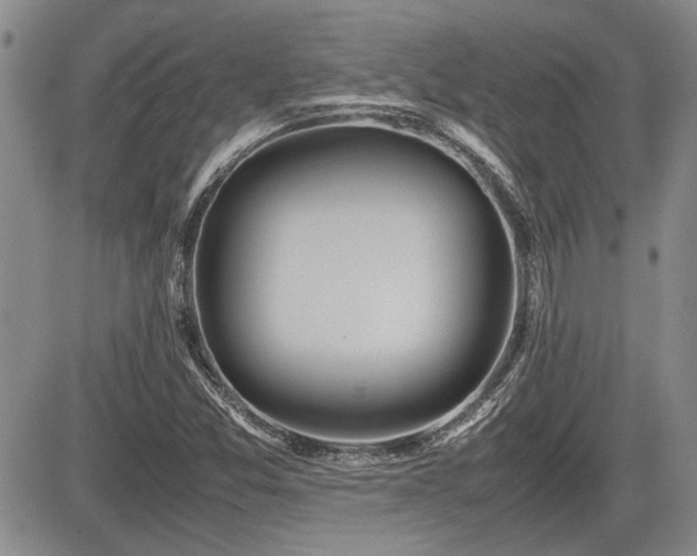 X0000085791357200703161113