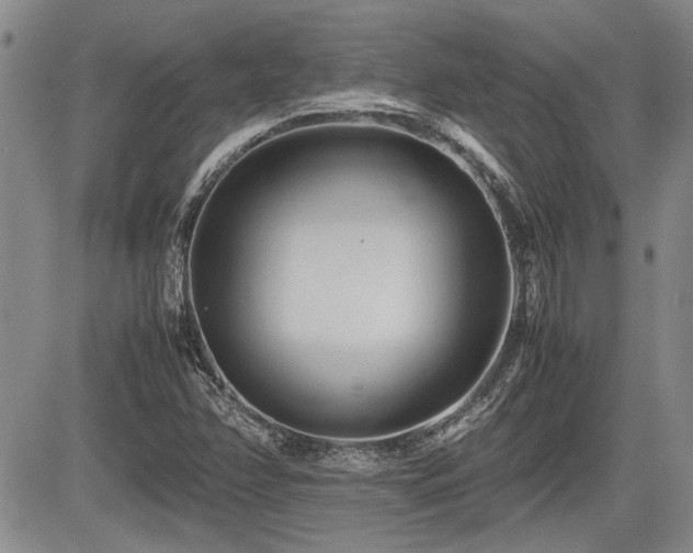 X0000085791358200703161113