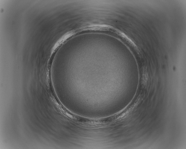 X0000085791362200703161113