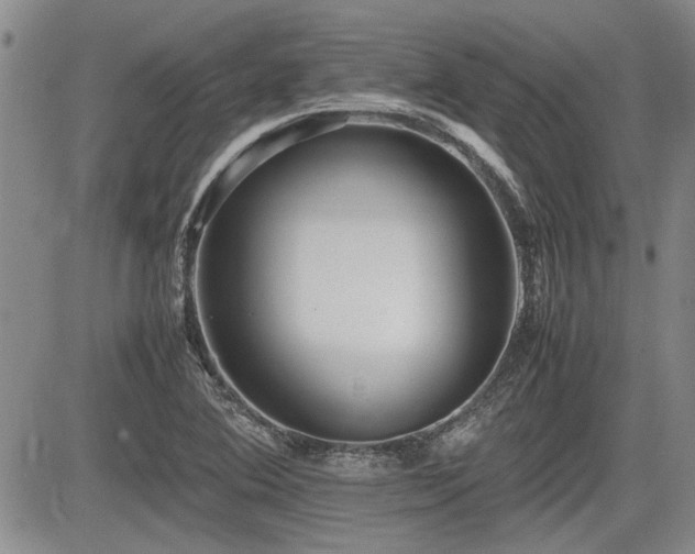 X0000085791364200703161112