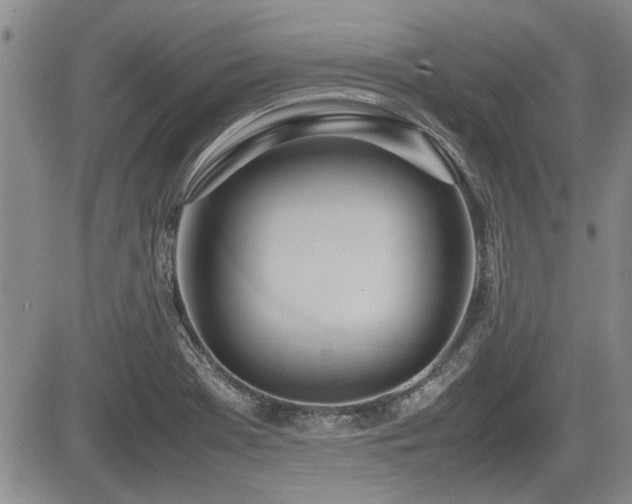 X0000085791369200703161112