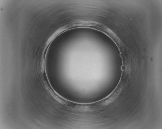 X0000085791370200703161112