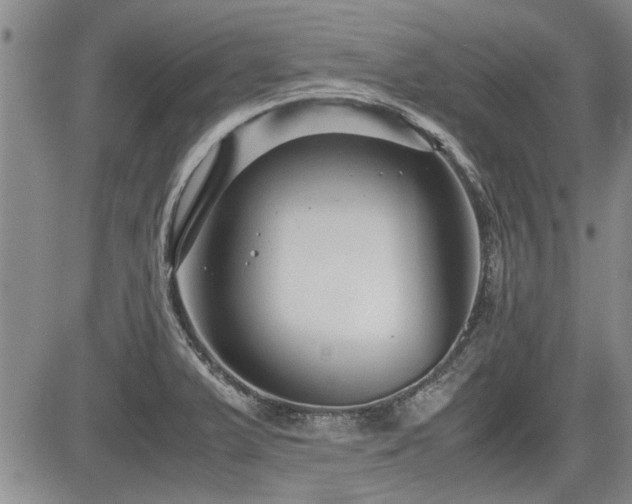 X0000085791375200703161112