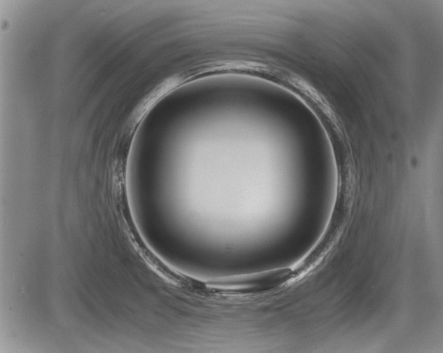 X0000085791377200703161112