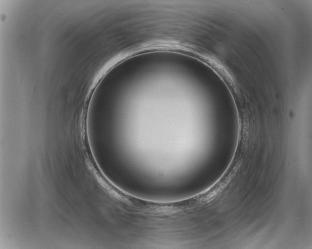 X0000085791382200703161112