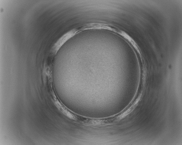 X0000085791385200703161112