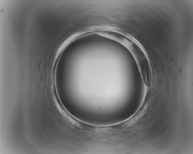 X0000085791389200703161112