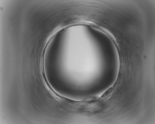 X0000085791391200703161112