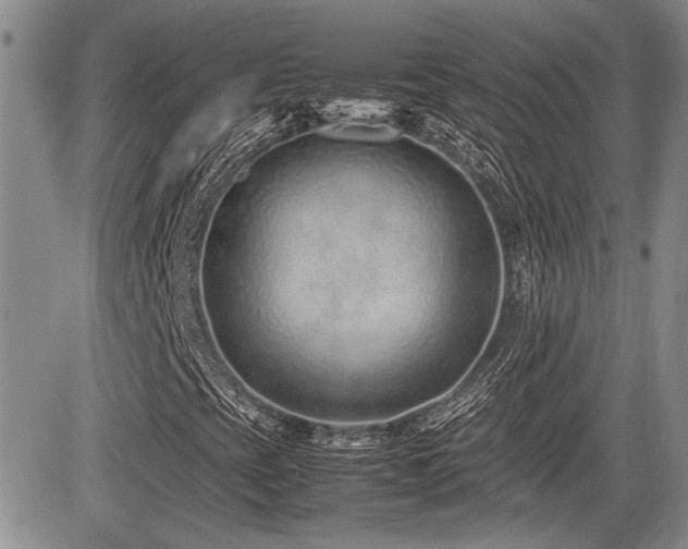 X0000085791393200703161111