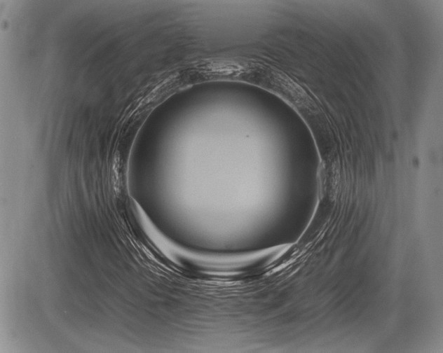 X0000085791394200703161111