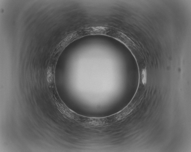 X0000085791395200703161111
