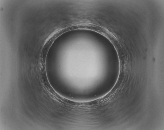 X0000085791400200703161111