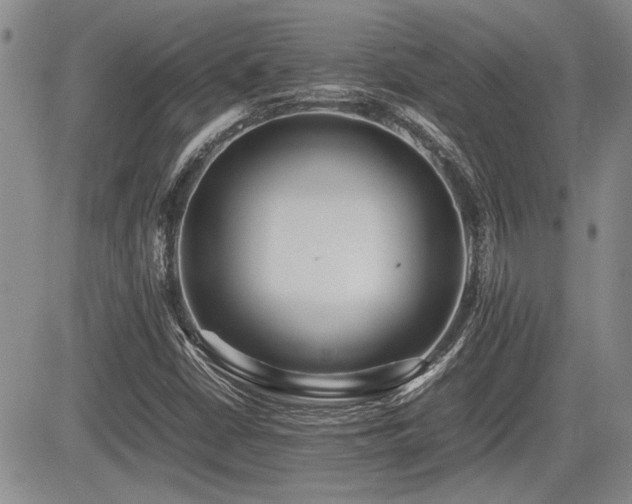 X0000085791402200703161111