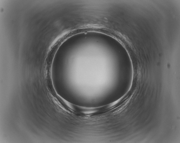 X0000085791406200703161111