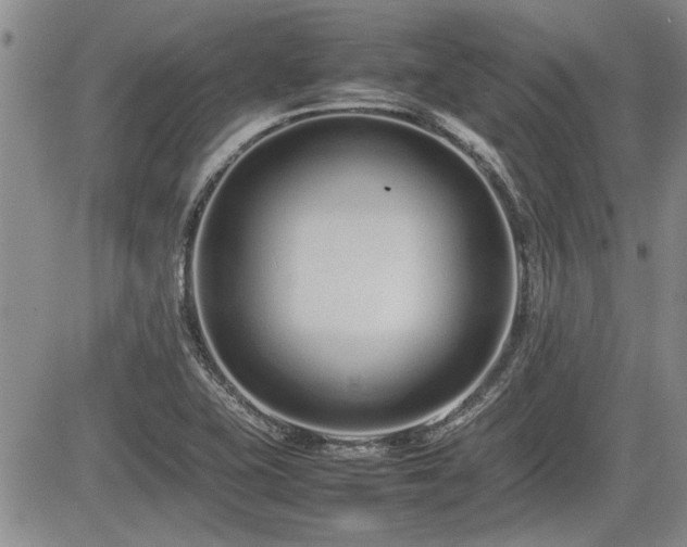 X0000085791415200703161112