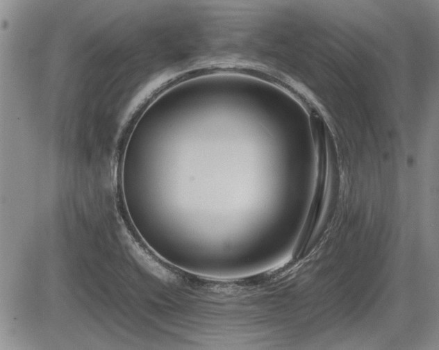 X0000085791416200703161112