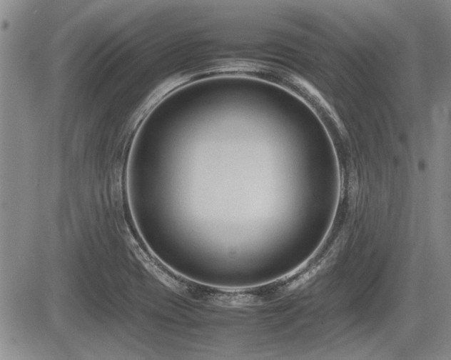 X0000085791417200703161112