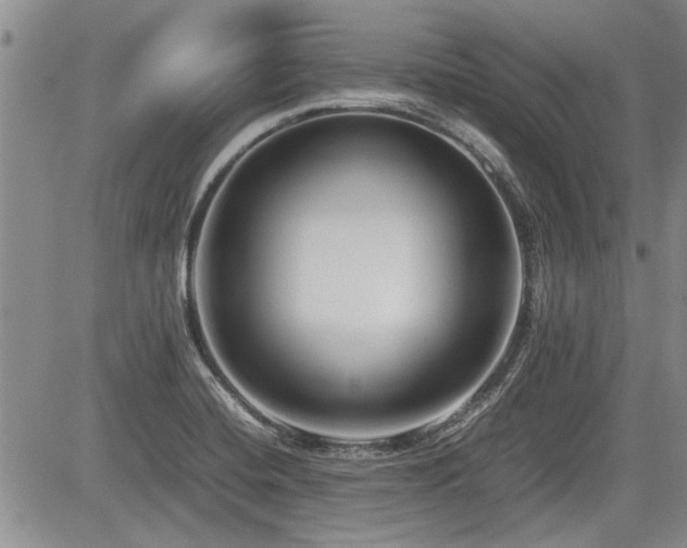 X0000085791420200703161112