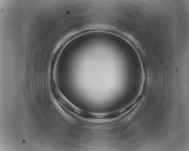 X0000085791422200703161112