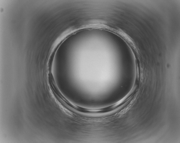X0000085791430200703161112